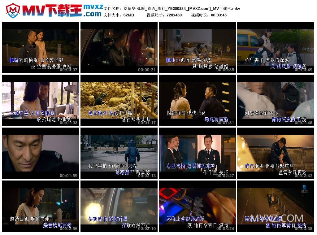 刘德华-孤雁_粤语_流行_YE200284